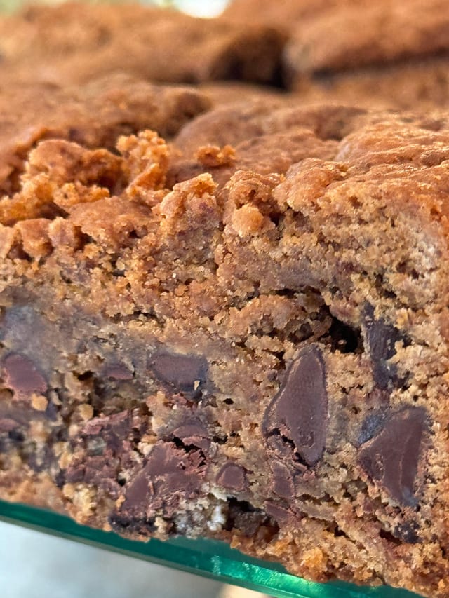 PUMPKIN BLONDIE GF.