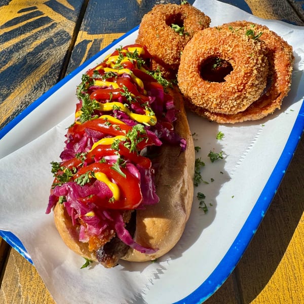Hot dog with red cabbage, ketchup, mustard, and parsley, served with two onion rings.