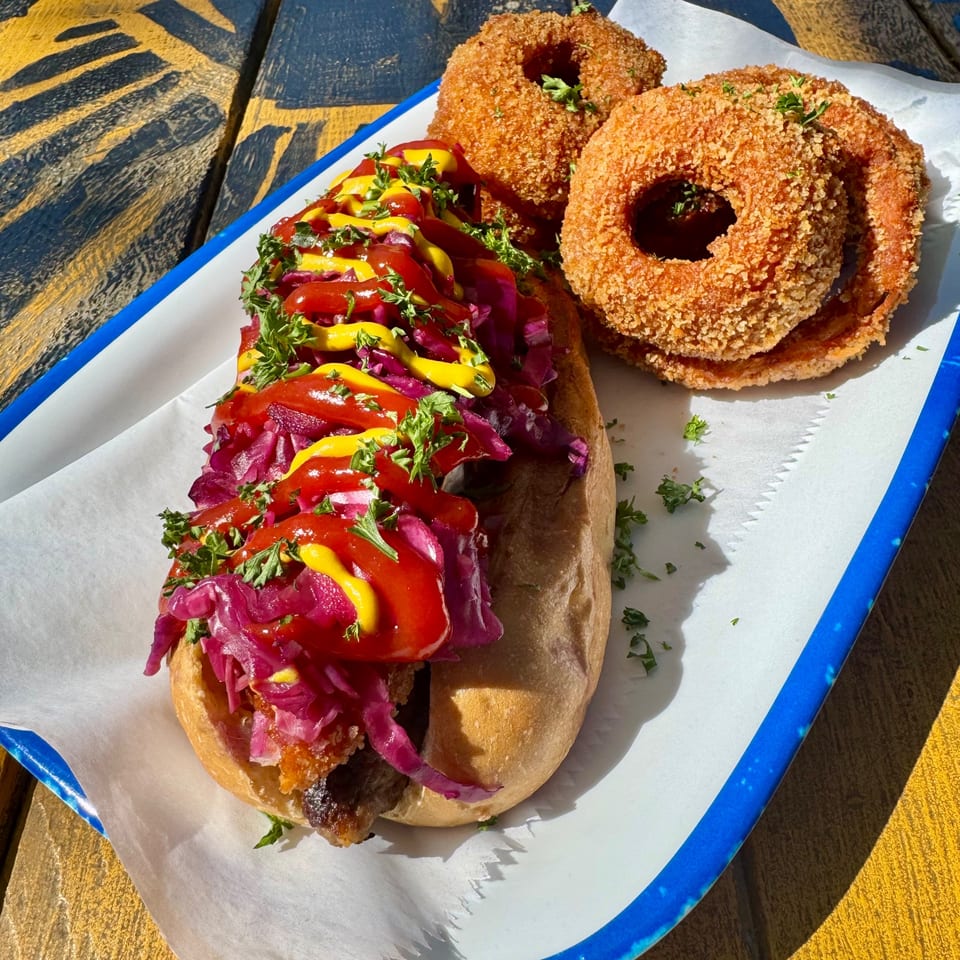 Hot dog with red cabbage, ketchup, mustard, and parsley, served with two onion rings.